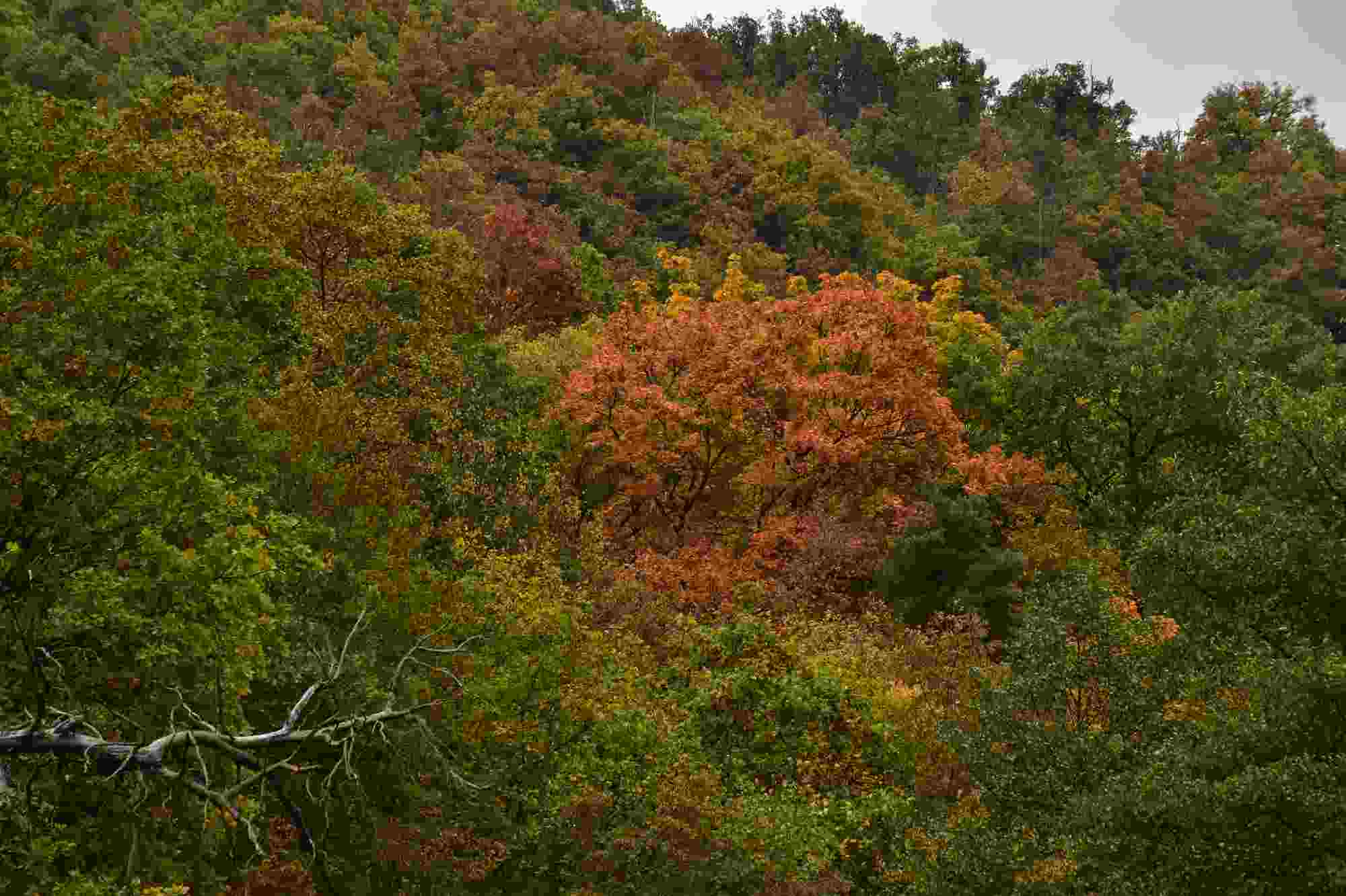 Barvy podzimu 2016